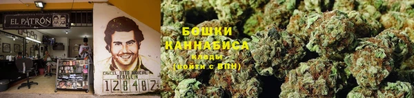 PSILOCYBIN Нижневартовск
