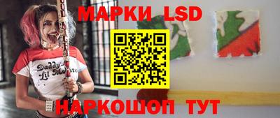 ALPHA PVP Гатчина