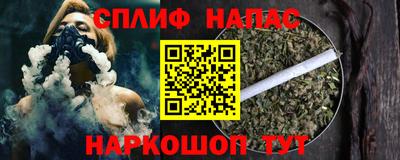 гидра Гагарин