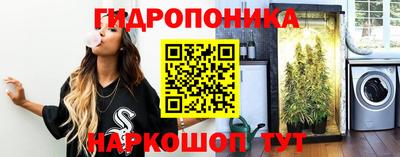 метадон Гай