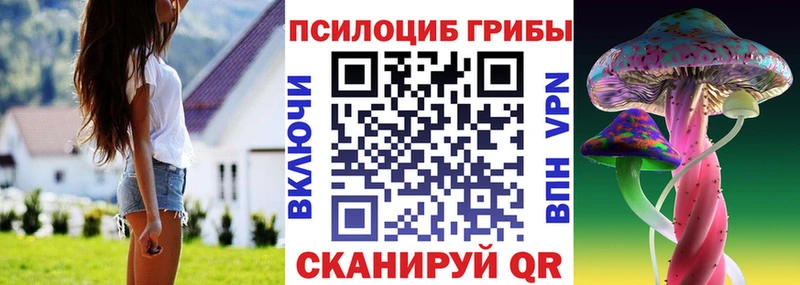 Псилоцибиновые грибы Psilocybine cubensis  закладки  Алейск 