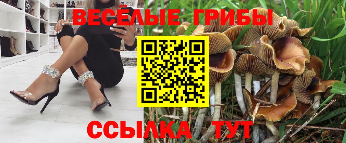 Галлюциногенные грибы мухоморы Алейск