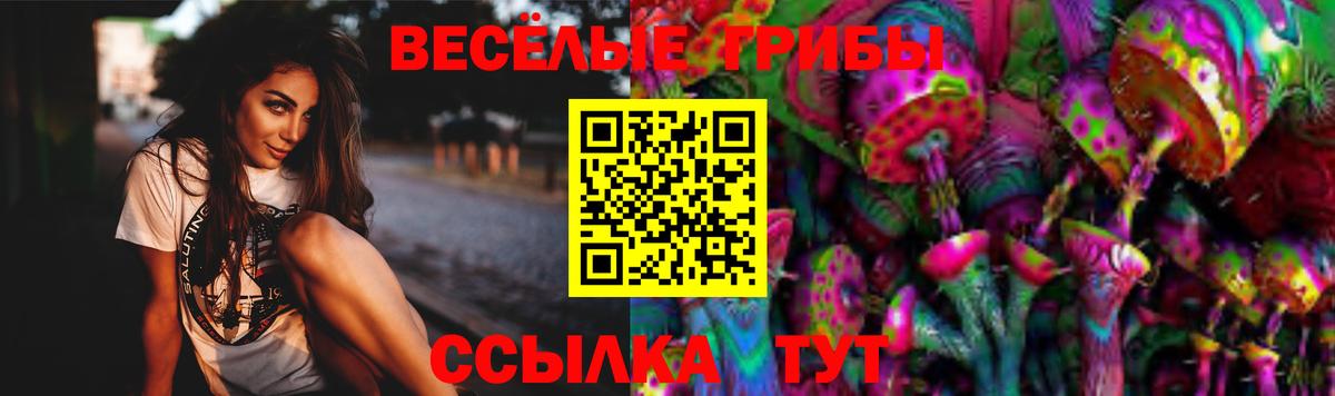 Галлюциногенные грибы GOLDEN TEACHER  Вход с VPN  продажа наркотиков  Алейск 