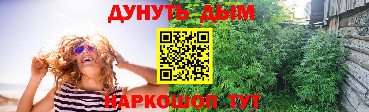 Канабис планчик Алейск
