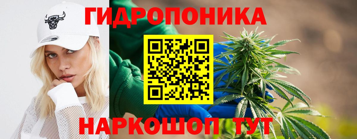 Бошки марихуана план  Алейск  Марихуана SATIVA & INDICA  Бошки марихуана конопля 