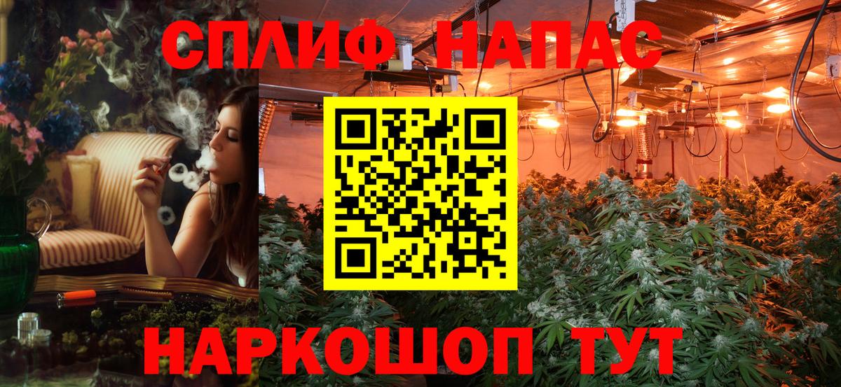 Кокаин Алейск